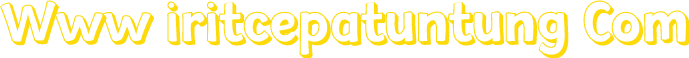 Www iritcepatuntung Com
